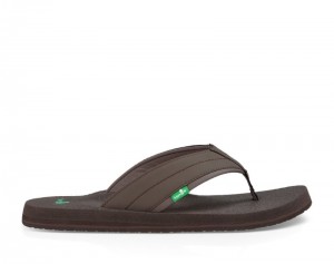 Sanuk Beer Cozy 2 Men Flip Flops Dark Brown,Sanuk Philippines | UA61-4421D2