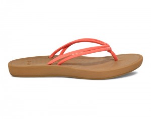 Sanuk Cosmic Sands Women Flip Flops Coral,Sanuk Philippines | JH89-4429O4