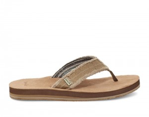 Sanuk Fraid Not Soft Top Eco-Friendly Men Flip Flops Brown,Sanuk Philippines | SF16-3766L7