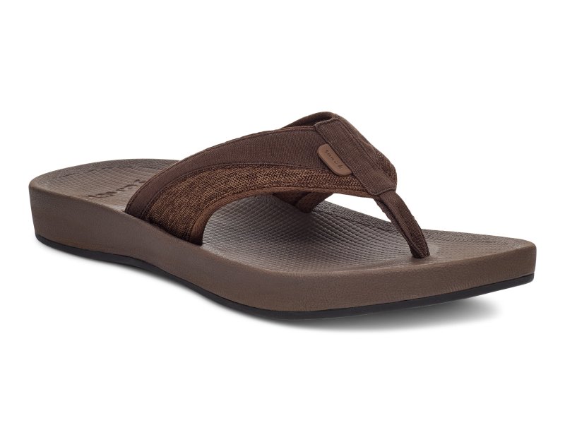 Sanuk Cosmic Seas Mesh Men Flip Flops Brown,Sanuk Philippines | RM69-8459K6