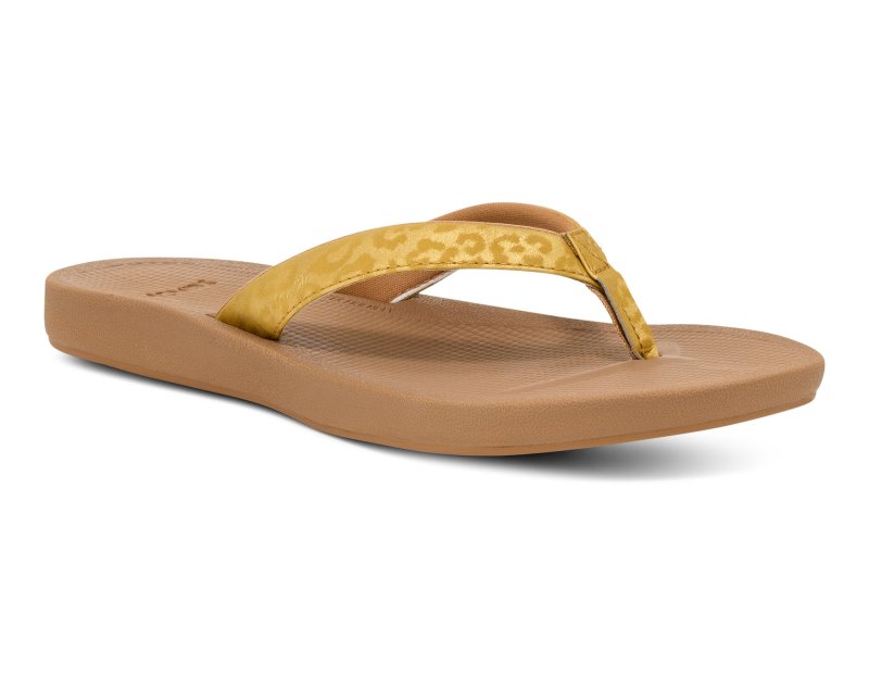 Sanuk Cosmic Shores Leopard Women Flip Flops Gold,Sanuk Philippines | DL31-4101O5