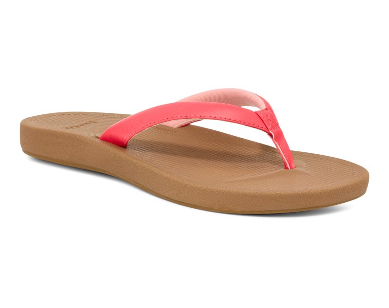 Sanuk Cosmic Shores Women Flip Flops Rose,Sanuk Philippines | MT68-8638R3