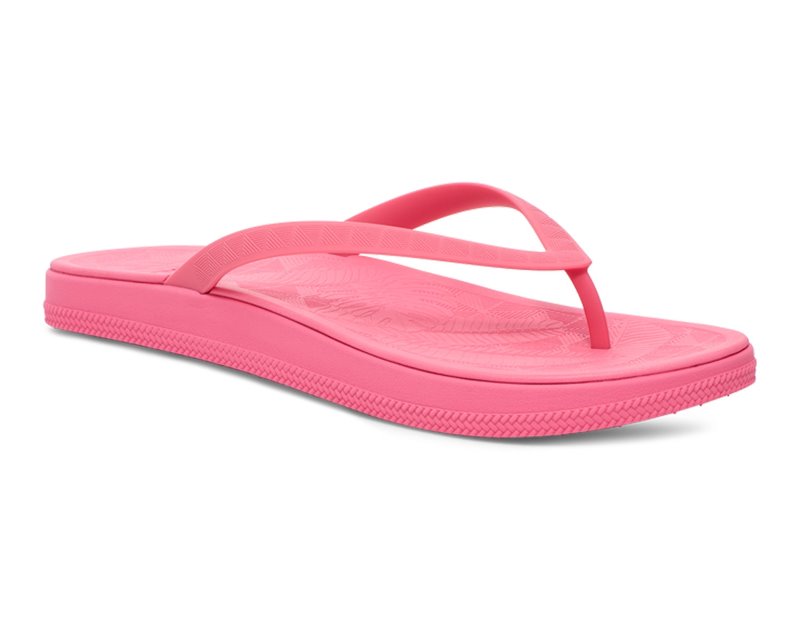 Sanuk Funshine Women Flip Flops Pink,Sanuk Philippines | XE36-6316W3