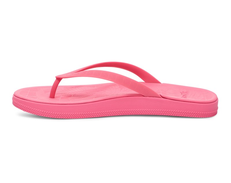 Sanuk Funshine Women Flip Flops Pink,Sanuk Philippines | XE36-6316W3