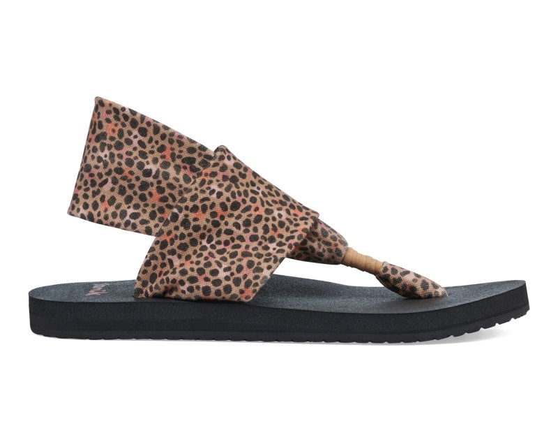 Sanuk Sling ST Cheetah Women Sandals Brown Multicolor,Sanuk Philippines | NJ88-3628A3