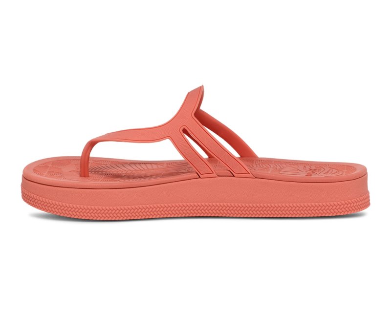 Sanuk Sunshine SL Women Heeled Flip Flops Orange,Sanuk Philippines | FS81-5771H4